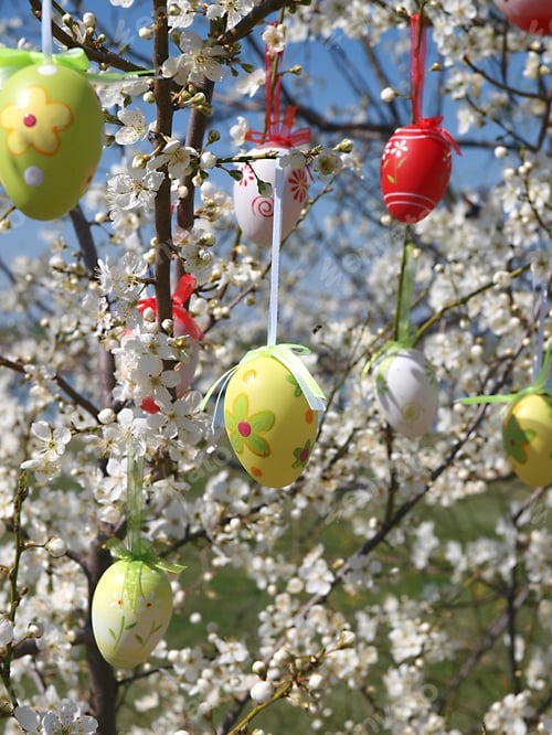 Preview: Easter eggs on tree