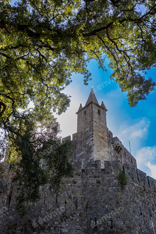 Preview: Low angle shot of a medieval castle