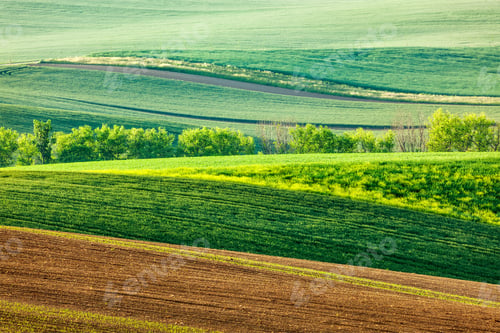Preview: Moravian rolling landscape