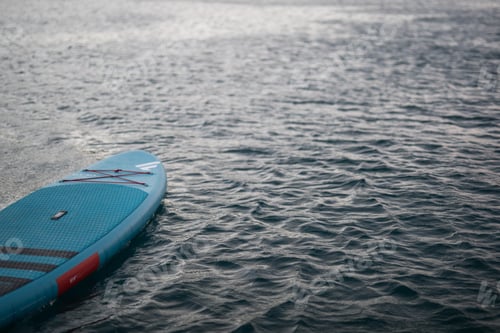 Preview: Paddle