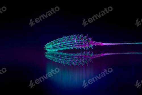 Preview: Macro shot of a dandelion seed with purple light and reflection