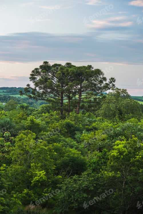 Preview: Viewing tower at Posada Puerto Bemberg Hotel, accommodation near Iguazu Falls and Puerto Iguazu, Mis