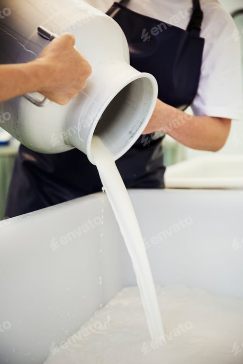 Preview: Close up of goats milk being poured from a churn in a creamery, making goats cheese.