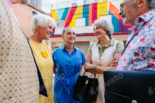 Preview: Group of senior friends meeting outddors in the city and having fun