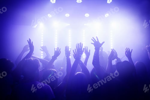 Preview: Group of people watching performance in club