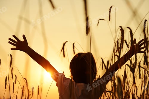 Preview: Kid At Wheat Field