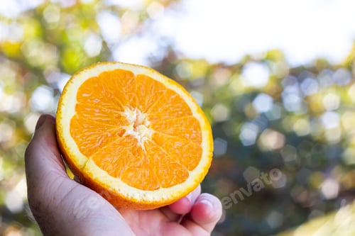 Preview: orange