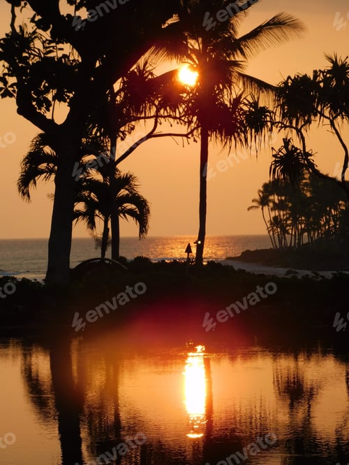 Preview: Sunsets! Tropical Vibes! Hawaiian Sunset!
