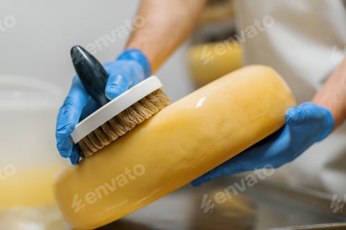 Preview: Male hands in gloves cleaning cheese brush in warehouse of milky farm Dairy production
