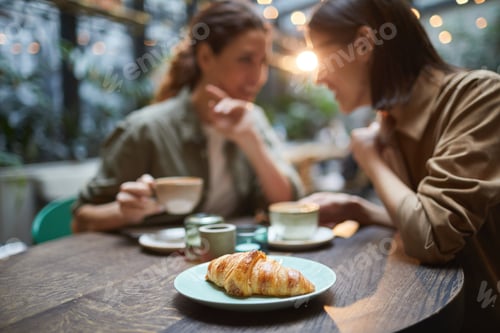 Preview: Girlfriends Enjoying Lunch in Cafe