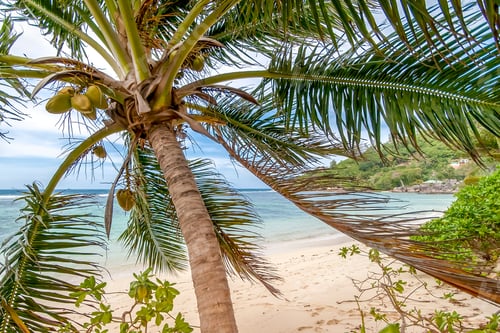 Preview: Seychelles paradise (nominated on Nov 10)