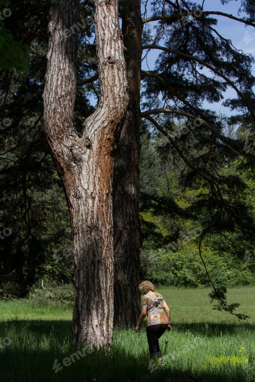 Preview: A woman walking in the grass under a tree, daylight
