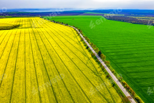 Preview: Green and yellow