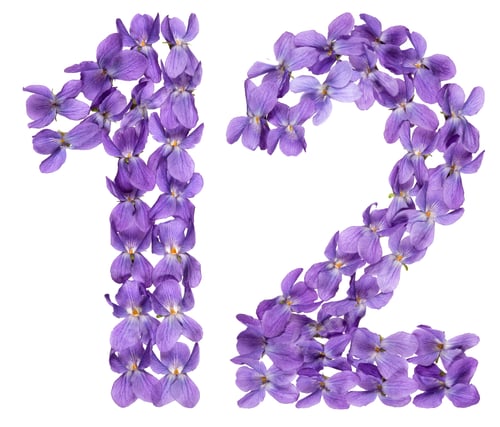Preview: Arabic numeral 12, twelve, from flowers of viola, isolated on white background