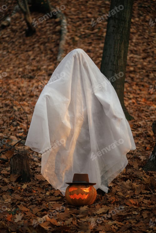 Preview: Happy Halloween! Stylish ghost and jack o lantern in moody autumn forest