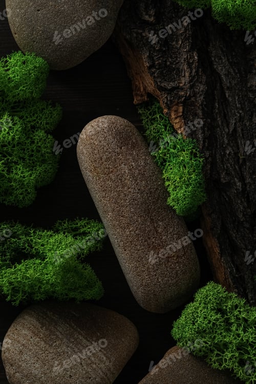 Preview: Moss, different backgrounds for nature concept, moss and wood, moss and stones