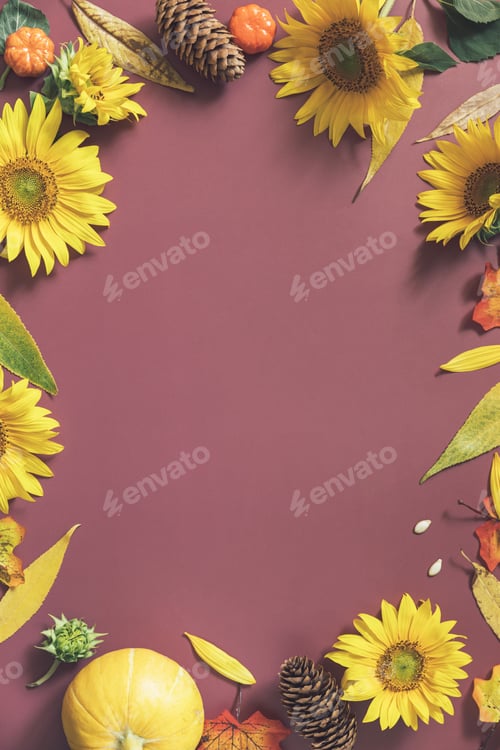 Preview: Creative frame made of festive autumn decor of pumpkins, sunflowers and leaves.