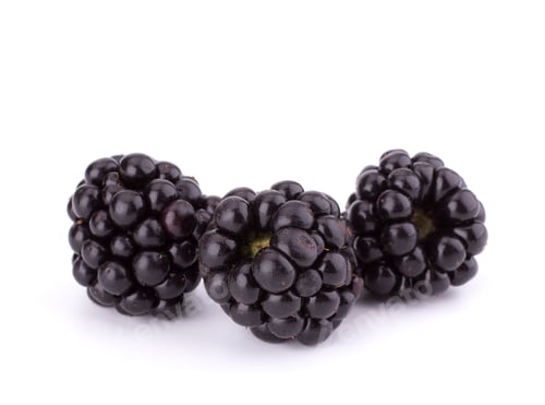 Preview: Fresh blackberry isolated on white background closeup, macro shot