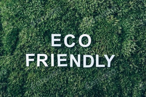 Preview: Inscription Eco friendly on moss, green grass background. Top view. Copy space. Banner. Biophilia