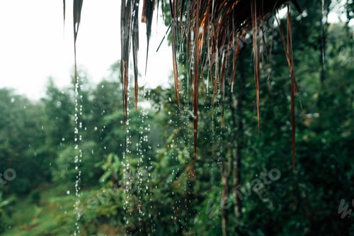Preview: Water drops from the roof on a rainy day or in the rainy season, natural storms and rainy days