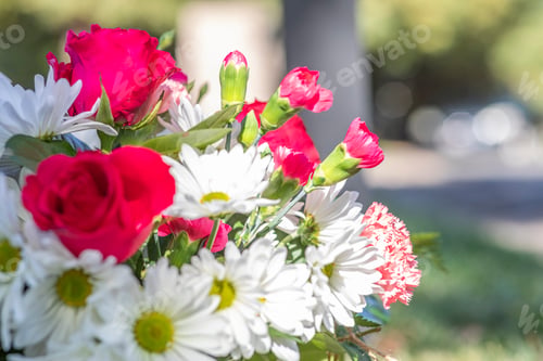 Preview: Close-up photo of various flowers invase