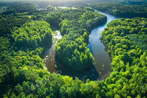 Preview: Stunning river between forests in summer at sunrise