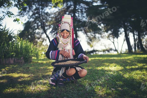 Preview: Akha using a winnowing basket separating coffee from by bamboo basket with traditional.