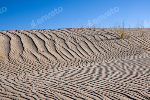 Preview: Sand dune with same marram grass