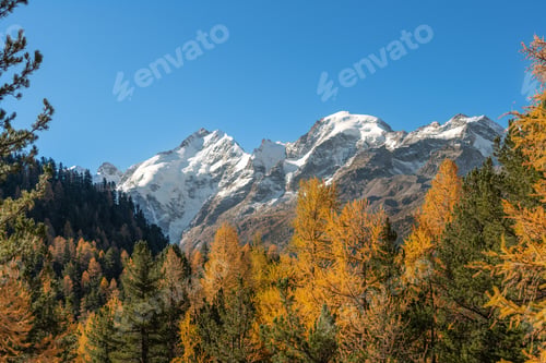 Preview: Autumn landscapes in the Swiss Alps