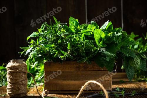 Preview: Fresh Herbs in Wooden Rustic Box. Healthy Eating. Home Grown Plants