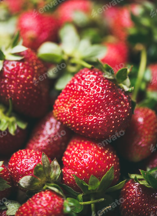 Preview: Fresh strawberry texture, wallpaper and background, selective focus