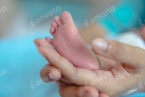 Preview: Parent holding in the hands feet of newborn baby, The love and generosity of a mother for her child.