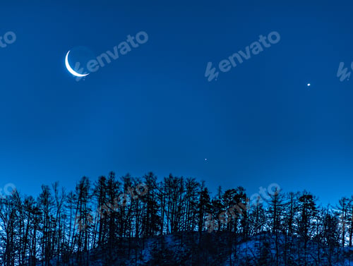Preview: Moon above the forest