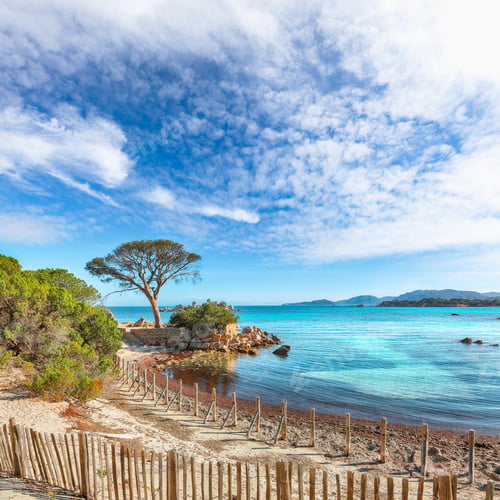 Preview: Breathtaking view of Palombaggia and Tamaricciu beaches.