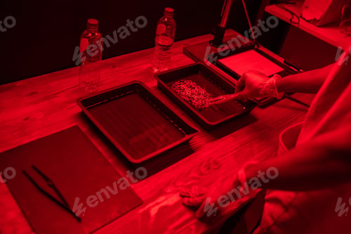 Preview: Unrecognizable Man Developing Photos