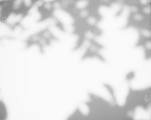 Preview: Blur Overlay Shadow Leaves Background