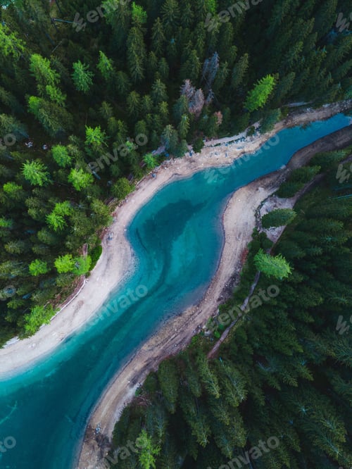 Preview: Vertical top view of beautiful glacial river surrounded with evergreen trees in Italy