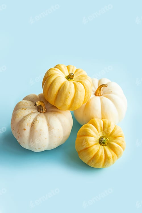 Preview: Small diverse pumpkins. Fall season collection.
