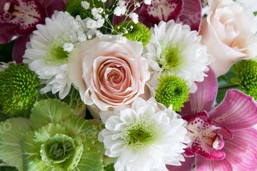 Preview: Close-up gentle bouquet of flowers top view. Floral background, backdrop