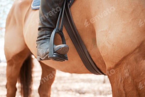 Preview: When riding a horse we leave our fear. Shot of an unrecognizable woman riding her horse outside.
