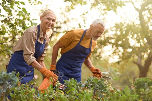 Preview: Middle aged caucasian man and woman working in garden