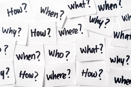Preview: The essential questions and answers section