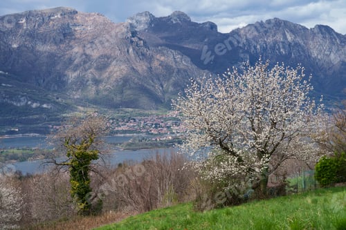 Preview: View of Annone lake from Colle Brianza