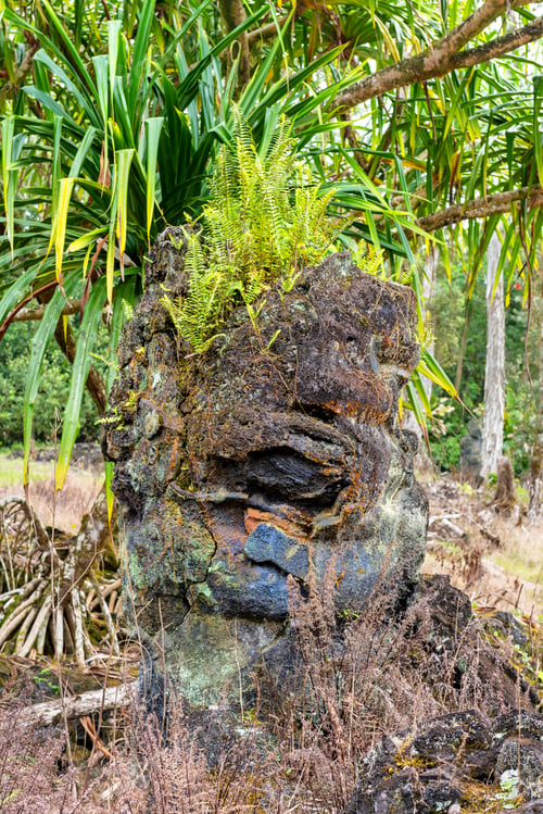 Preview: Lava Trees State Park in Hilo Hawaii