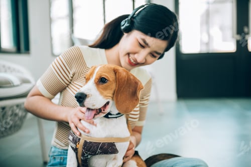Preview: Beagle dog with woman in living room(focus on dog)