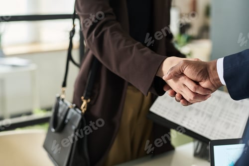 Preview: Partners Shaking Hands At Meeting