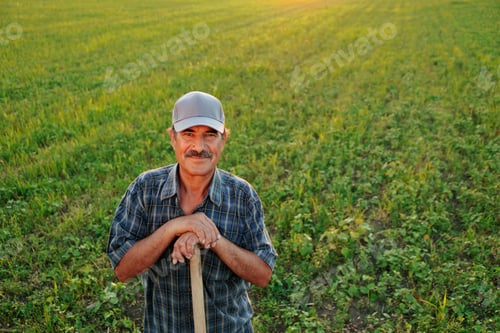 Preview: Mustached Wisdom Old Farmer's Reflective Sunset