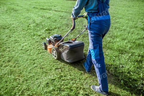 Preview: Gardener cutting grass with lawn mower