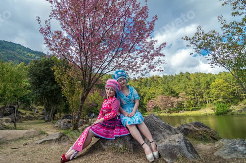 Preview: Portrait of Two Hmong girls with traditional Hmong suit on the Sakura blossom background