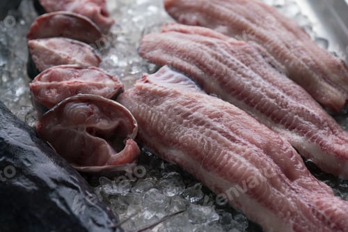Preview: Fresh fish fillet on ice.